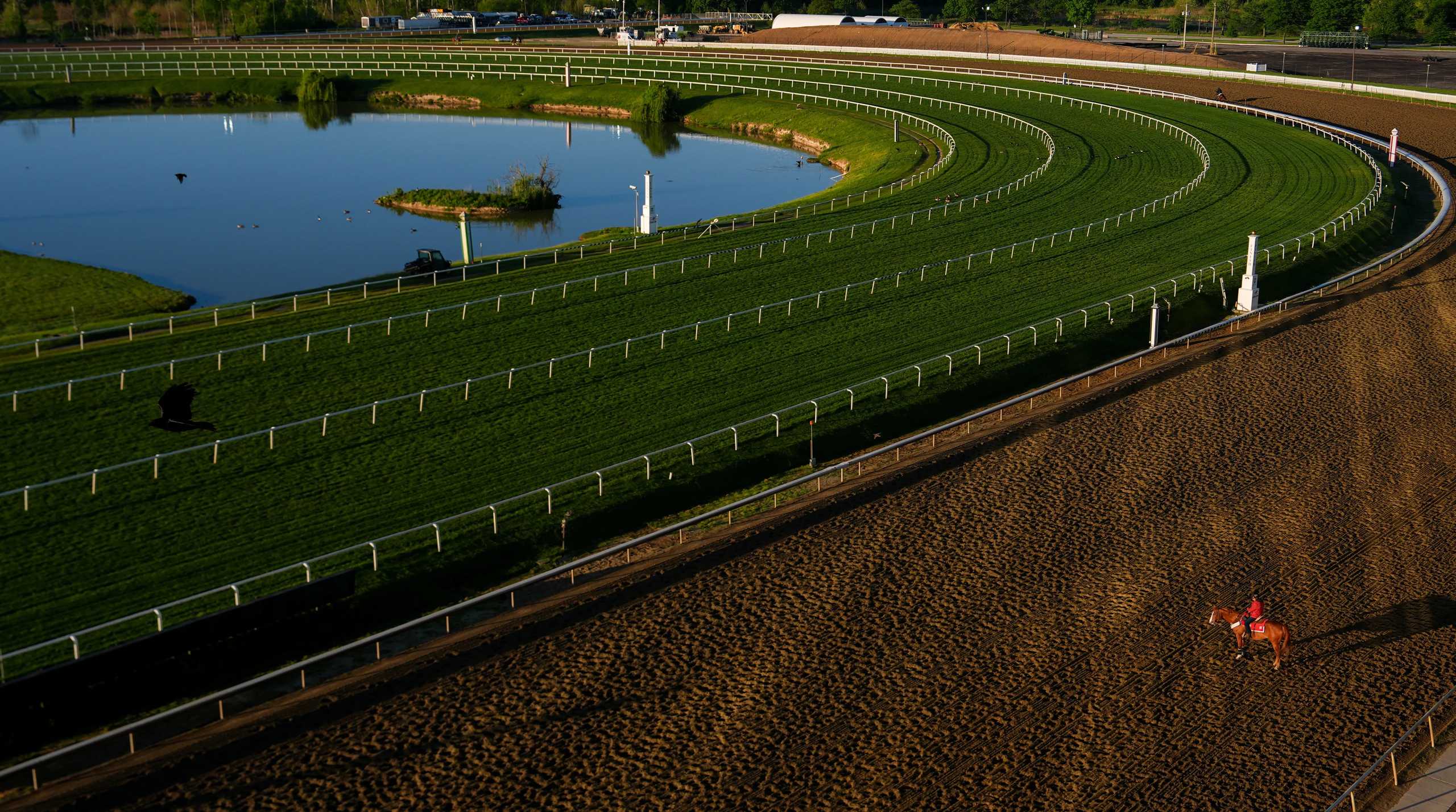 Does the Preakness Still Matter Without Triple Crown Drama?